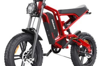 Hidoes B6 Electric Bike