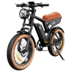 isinwheel R6 Electric Bike 48V 13AH 250W(Peak 900W) Motor 20inch Tire