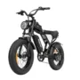 [15AH Battery ] Ridstar Q20 Electric Bike 48V 1000W Motor 20inch Tires 60-80KM Max Mileage 150KG Max Load Electric Bicycle