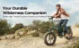 ENGWE ENGINE Pro 2.0 Folding Electric Bike