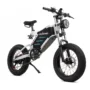 RZOGUWEX X5 Electric Bike 48V 25AH Battery 1000W Motor 20inch Tires 50-60KM Max Mileage 200KG Max Load Electric Bicycle