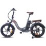 FAFREES F20 Pro Electric Bike 20*3.0 Inch Tire 250W Brushless Motor 150KM Max Range