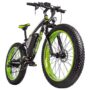 RICH BIT TOP-022 Electric Mountain Bike 26*4.0 Inch Chaoyang Fat Tires 1000W Motor